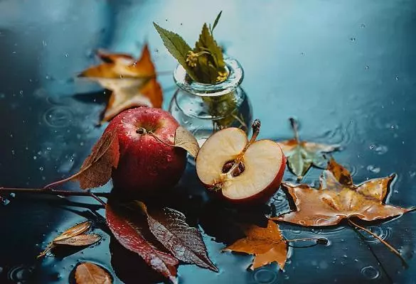 اشتباه عکاسی از طبیعت بی جان