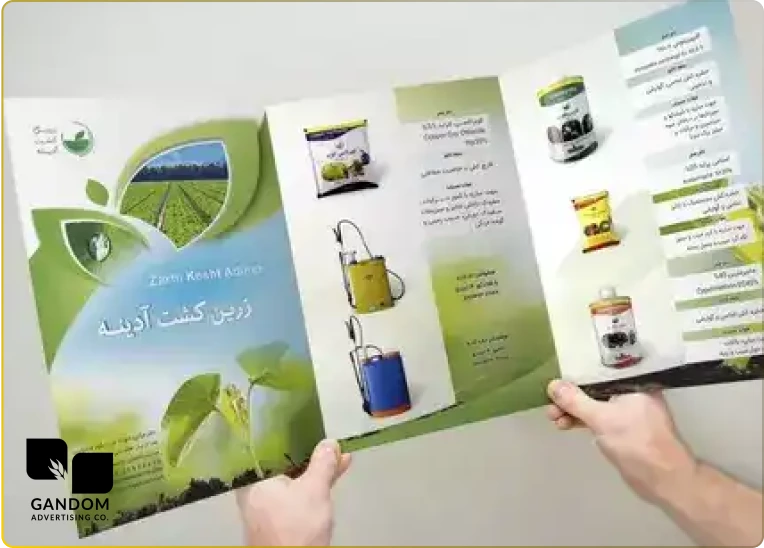 طراحی بروشور